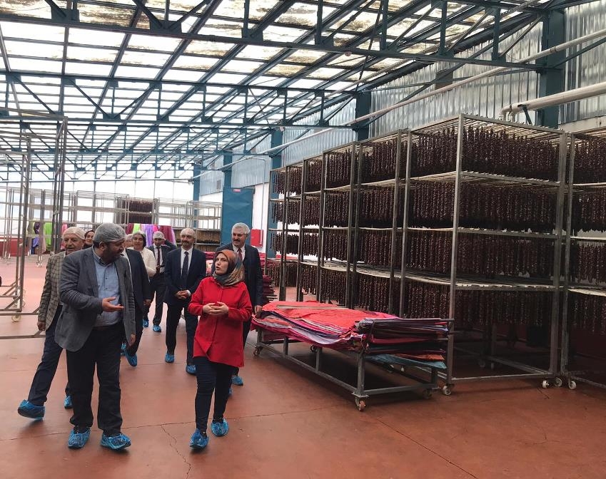 Genel Müdür Yeniçeri Gümüşhane’de Uygulanan DOKA ve DOKAP Projelerini İnceledi
